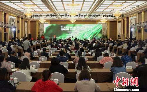 第二届中国(桐庐)国际民宿发展论坛暨国际乡村(民宿)设计大会现场。　王刚　摄